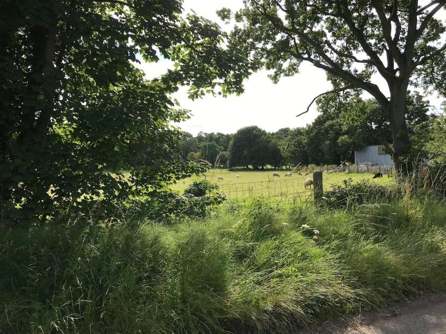Betty'S Cottage - Traditional Norfolk Farm Cottage Swafield المظهر الخارجي الصورة