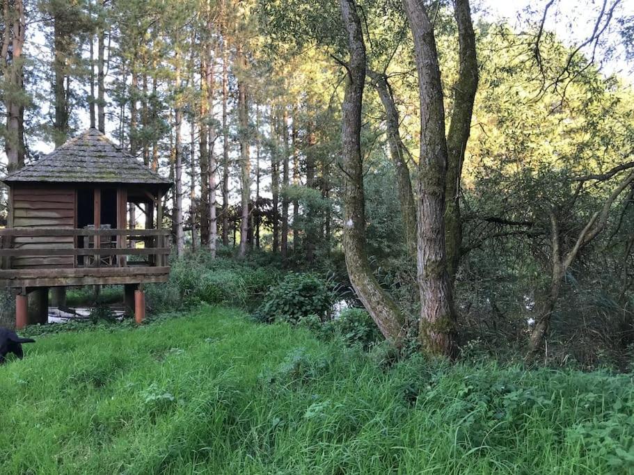 Betty'S Cottage - Traditional Norfolk Farm Cottage Swafield المظهر الخارجي الصورة
