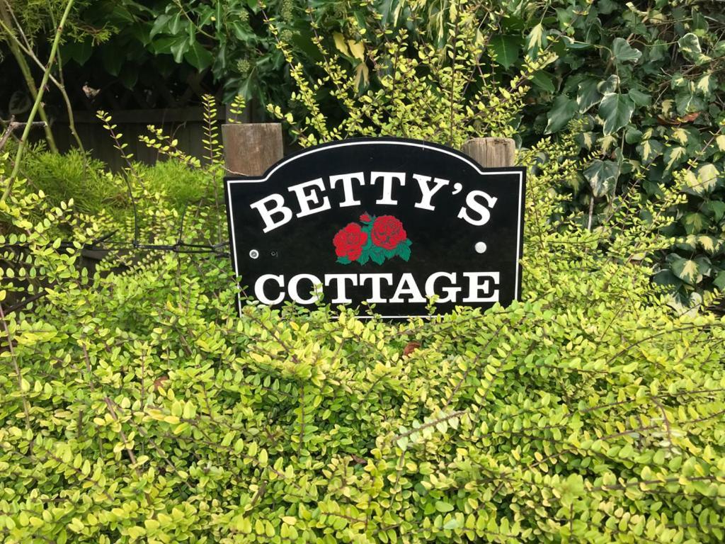 Betty'S Cottage - Traditional Norfolk Farm Cottage Swafield المظهر الخارجي الصورة